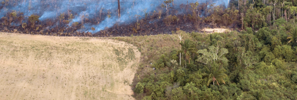 Burning land in Brazilian Cerrado