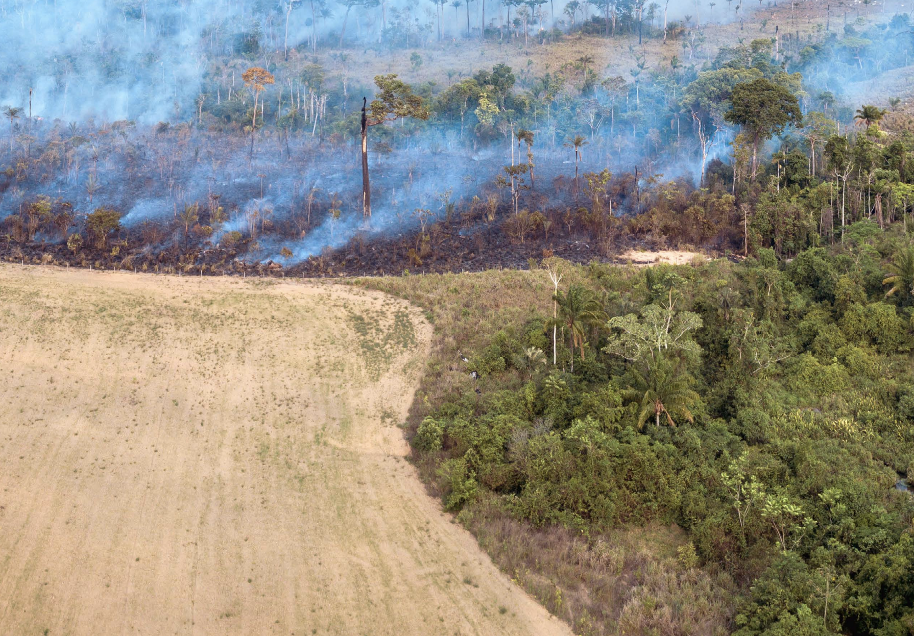 Burning land in Brazilian Cerrado